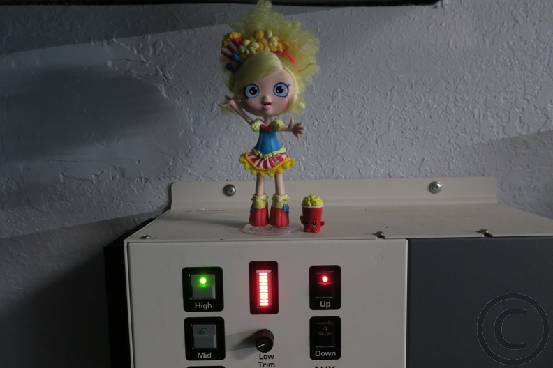 Popette commands house lighting to maximum! IMG_1396.JPG