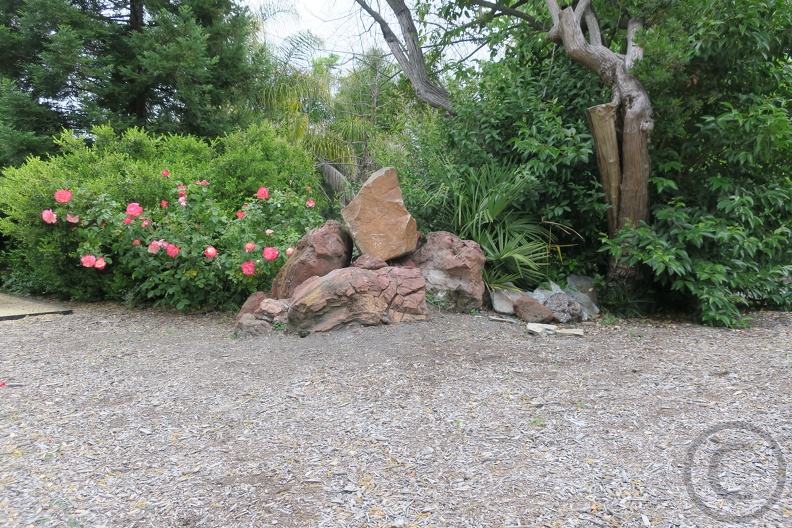 IMG_2285.JPG