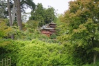 San Francisco's Japanese Tea Garden [2018]