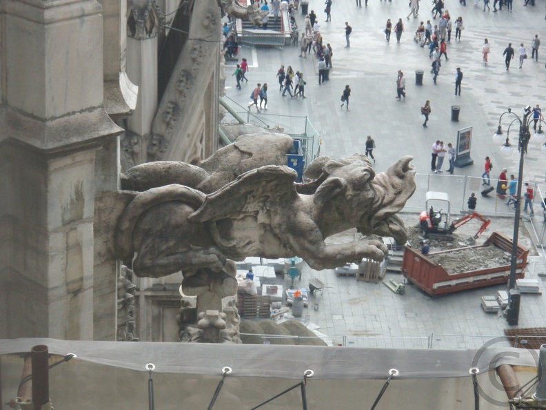 Duomo di Milano gargoyle. P5260084.jpg