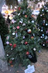 San Jose's Christmas In The Park