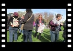 Stochastic Video At 2020 Women's March San Jose